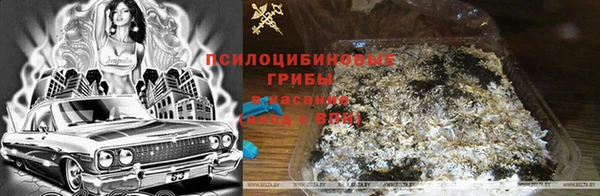 стафф Белокуриха