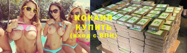 стафф Белокуриха