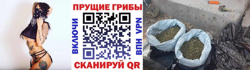 Псилоцибиновые грибы MAGIC MUSHROOMS  OMG   Елабуга  дарнет шоп 